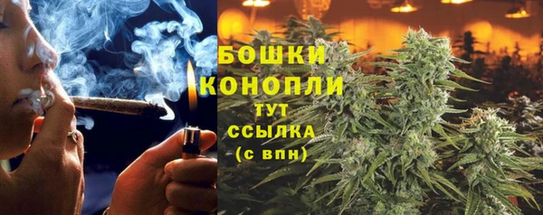 спиды Армянск