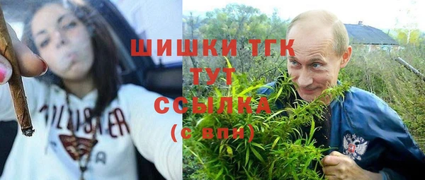 мяу мяу мука Алзамай