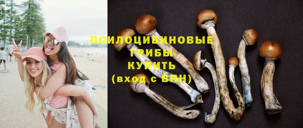 спиды Армянск