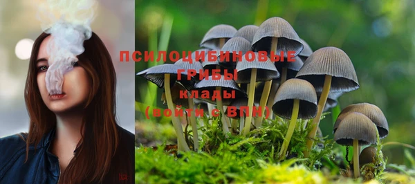 спиды Армянск